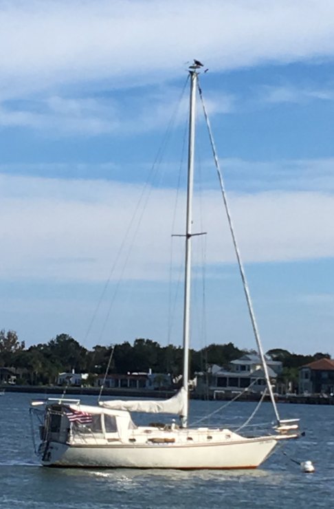 Used Sailboats Sailboats For Sale