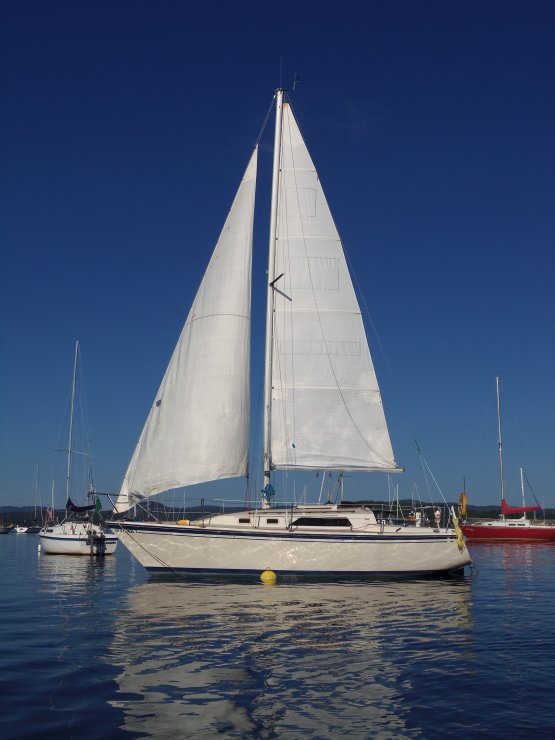 sailboat for sale by owners