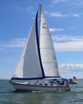 used sailboat auction