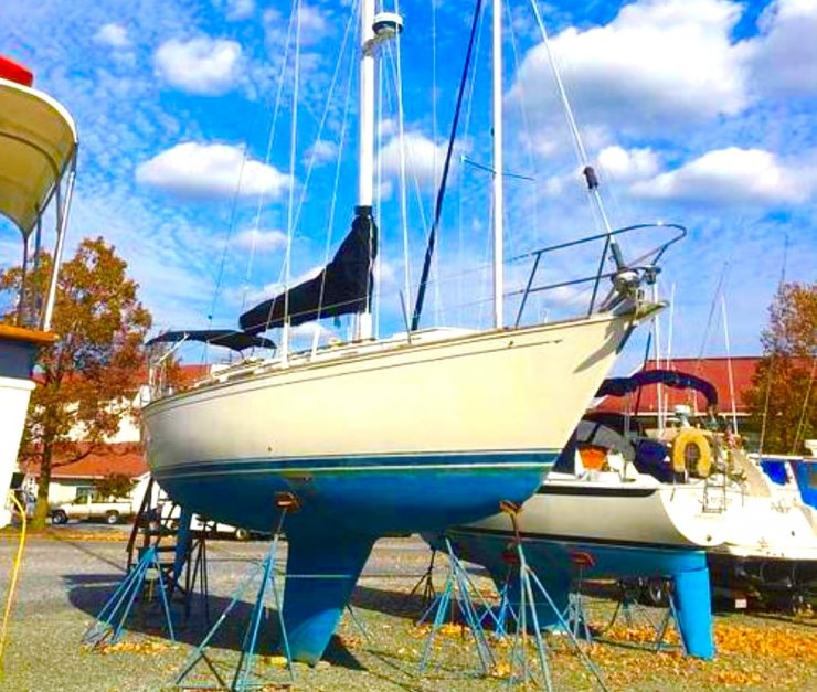 sabre sailboat owners