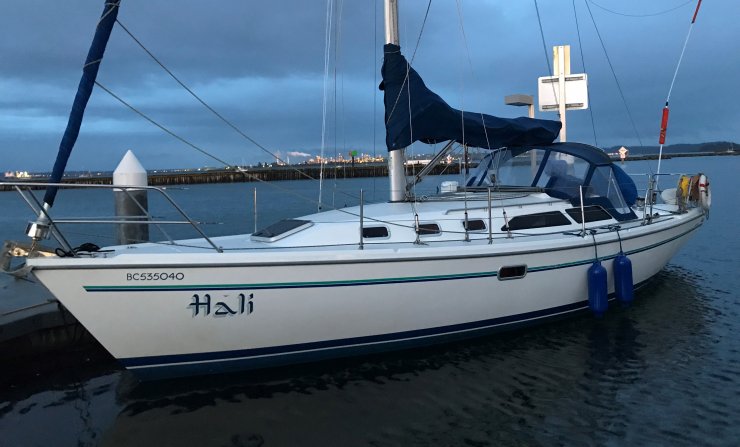 1992 catalina 34 sailboat