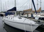 sail yacht a owner